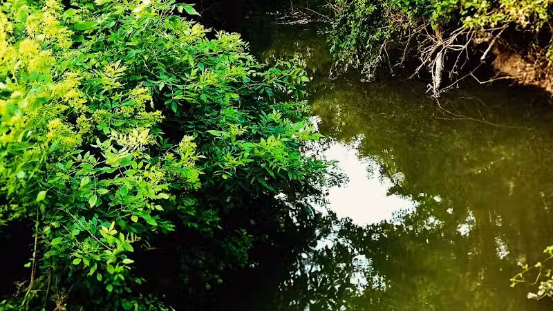 Reservoir Park - Deshler, OH