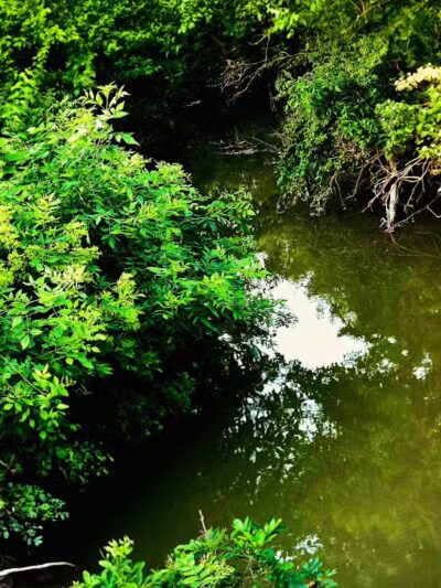 Reservoir Park - Deshler, OH