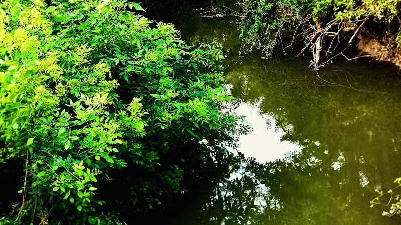 Reservoir Park - Deshler, OH