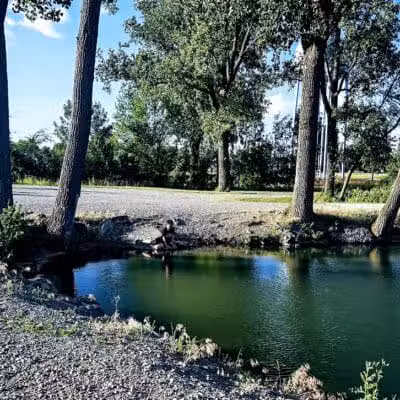 Reservoir Park - Deshler, OH