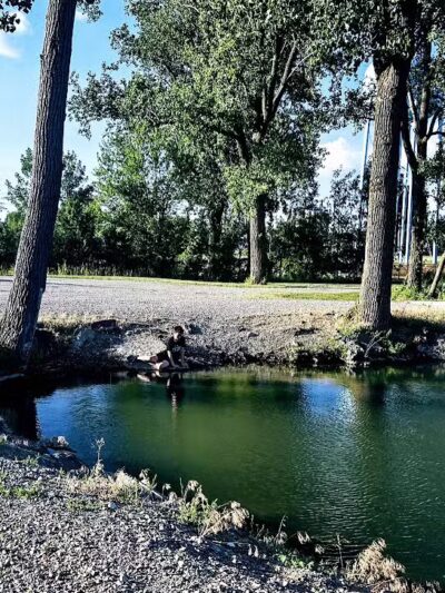 Reservoir Park - Deshler, OH