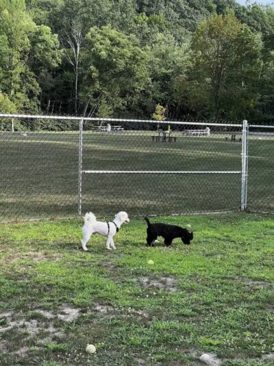 Riverfront Park - Dickson City, PA
