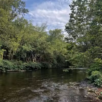 Riverfront Park - Dickson City, PA