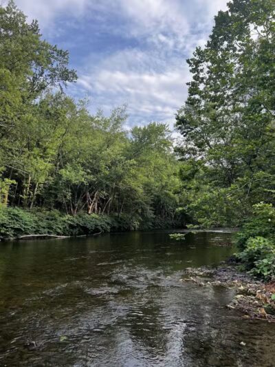 Riverfront Park - Dickson City, PA