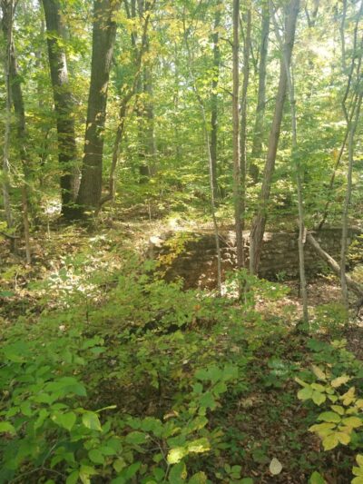 Camp Tuscazoar Foundation Inc - Dover, OH