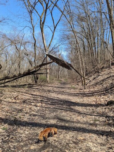 Canal Lands Park - Dover, OH