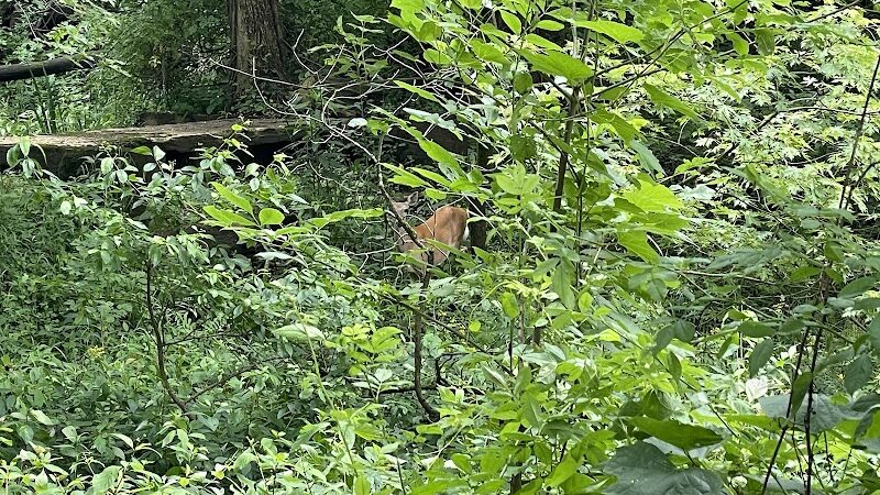 Canal Lands Trailhead Parking - Dover, OH