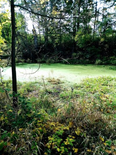 Ohio & Erie Canal Towpath Trail - Dover, OH