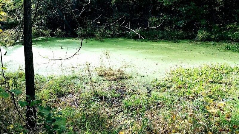 Ohio & Erie Canal Towpath Trail - Dover, OH