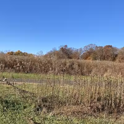 Doylestown Township Parks & Recreation - Doylestown, PA
