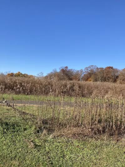 Doylestown Township Parks & Recreation - Doylestown, PA