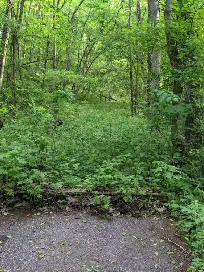 Muskingum Recreational Trail - Dresden, OH