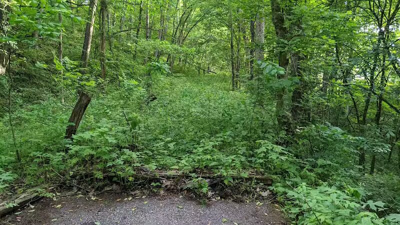 Muskingum Recreational Trail - Dresden, OH