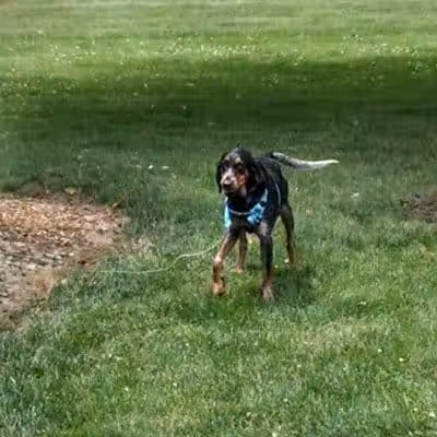 Amlin Crossing Park - Dublin, OH