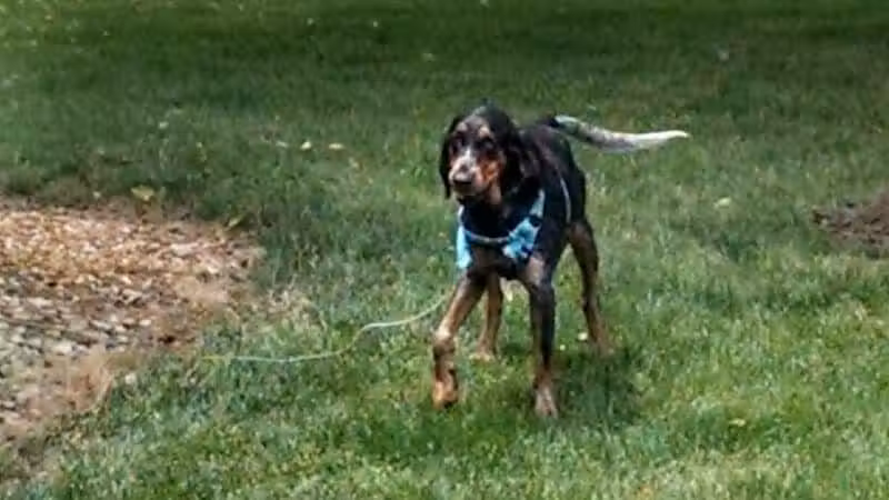 Amlin Crossing Park - Dublin, OH