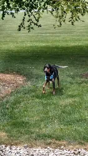 Amlin Crossing Park - Dublin, OH