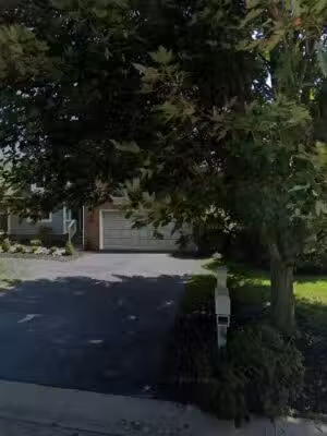 COMPANION CLUB DOG PARK - Dublin, OH