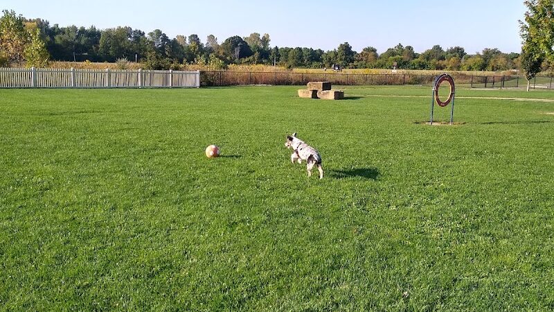 Darree Fields Dog Park - Dublin, OH