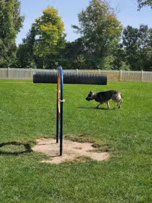Darree Fields Dog Park - Dublin, OH