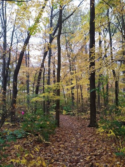 Darree Fields Dog Park - Dublin, OH