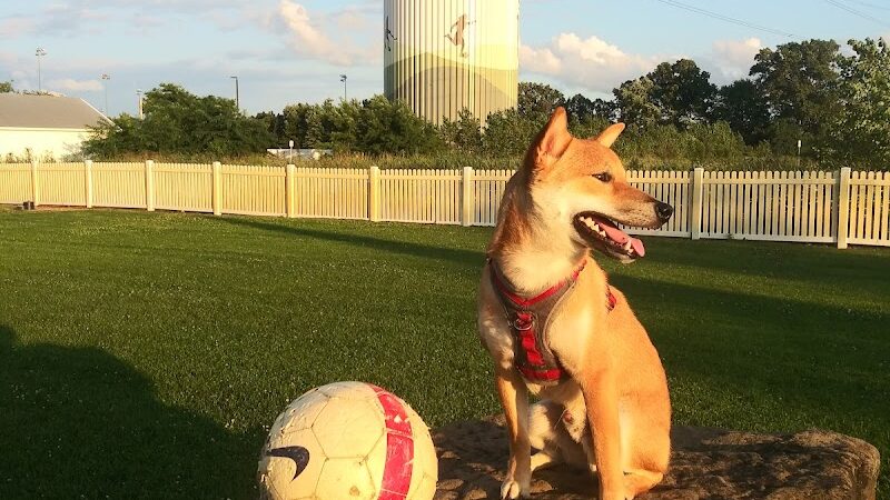 Darree Fields Dog Park - Dublin, OH