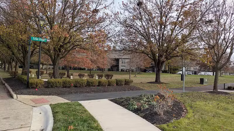 Dog Statues park - Dublin, OH