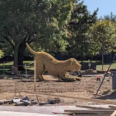 Dog Statues park - Dublin, OH