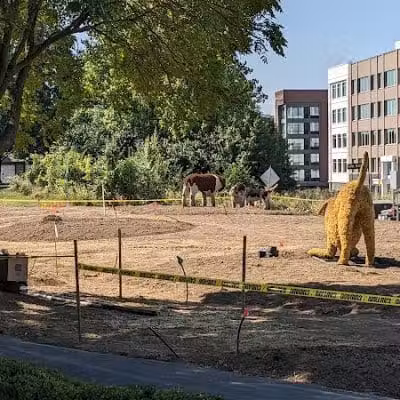 Dog Statues park - Dublin, OH