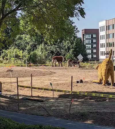 Dog Statues park - Dublin, OH
