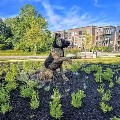 Dog Statues park - Dublin, OH