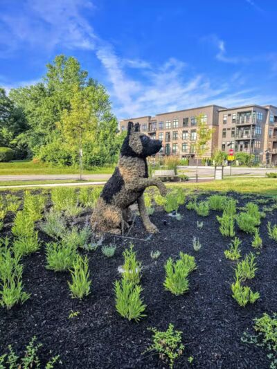 Dog Statues park - Dublin, OH