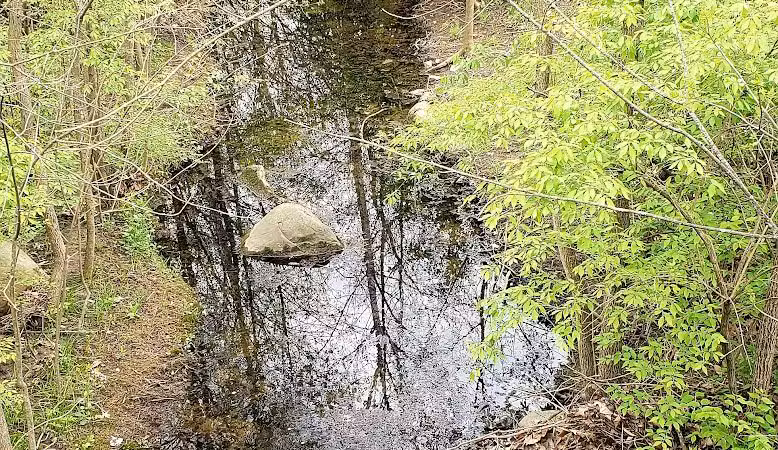 Dublinshire Park - Dublin, OH