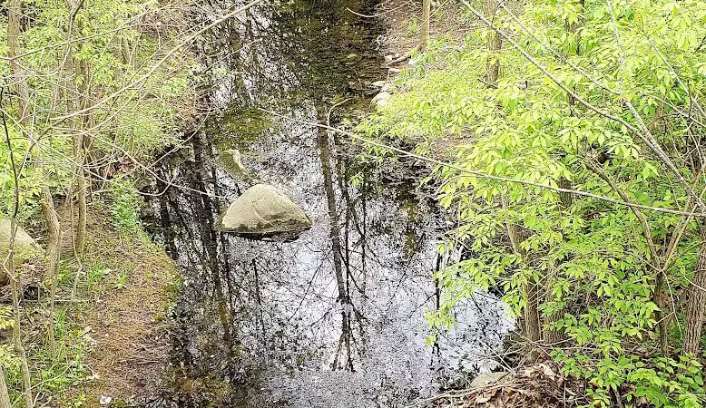 Dublinshire Park - Dublin, OH