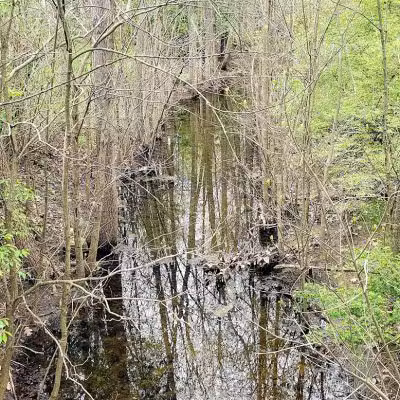 Dublinshire Park - Dublin, OH