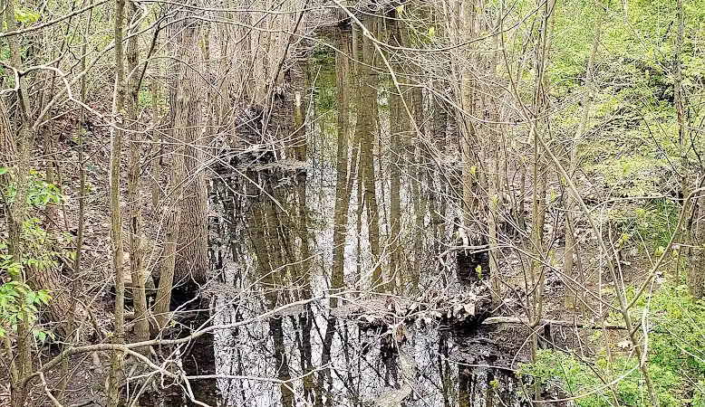 Dublinshire Park - Dublin, OH