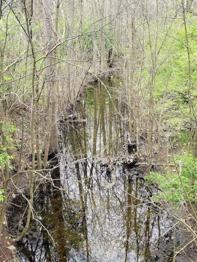 Dublinshire Park - Dublin, OH