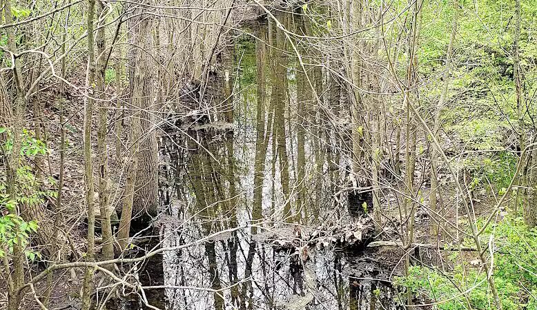 Dublinshire Park - Dublin, OH