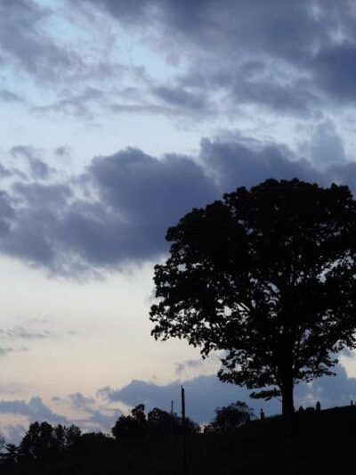 Bergin Park - Duncan Falls, OH