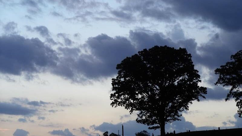 Bergin Park - Duncan Falls, OH