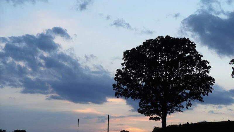 Bergin Park - Duncan Falls, OH