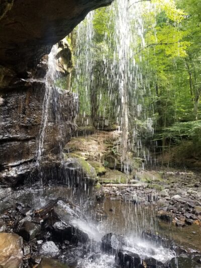 Beach City Wildlife Area - Dundee, OH