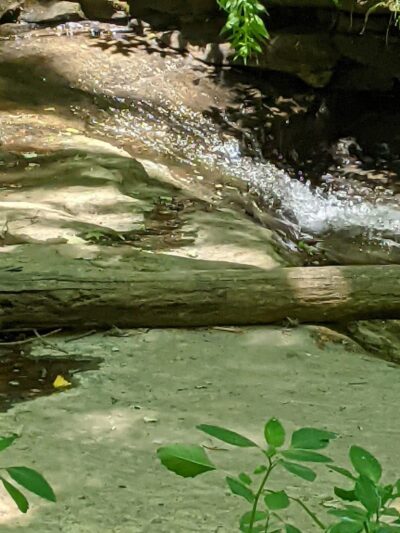 Beach City Wildlife Area - Dundee, OH