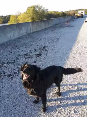 Beach City Wildlife Area - Dundee, OH