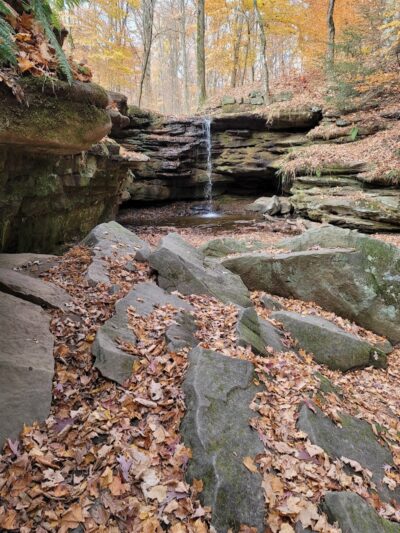 Beach City Wildlife Area - Dundee, OH