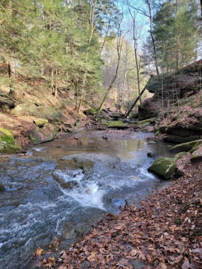 Beach City Wildlife Area - Dundee, OH