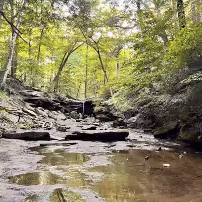 Dundee Falls - Dundee, OH