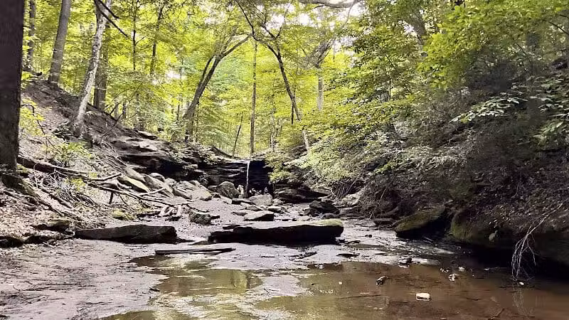 Dundee Falls - Dundee, OH