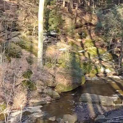 Dundee Falls - Dundee, OH