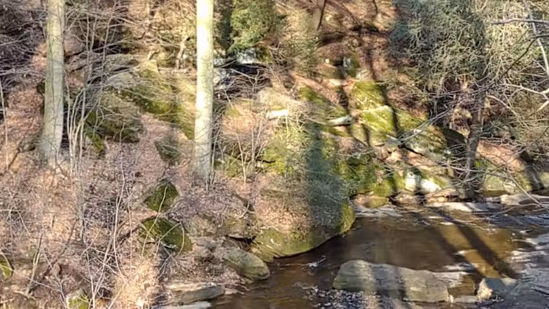 Dundee Falls - Dundee, OH