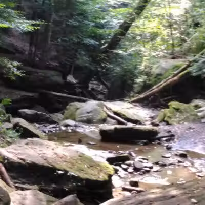 Dundee Falls - Dundee, OH